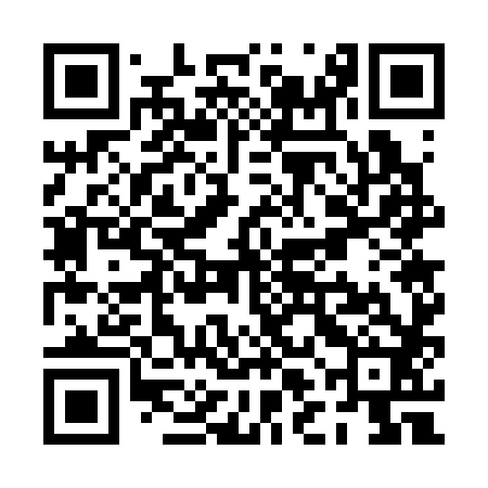 QR code for PLG382