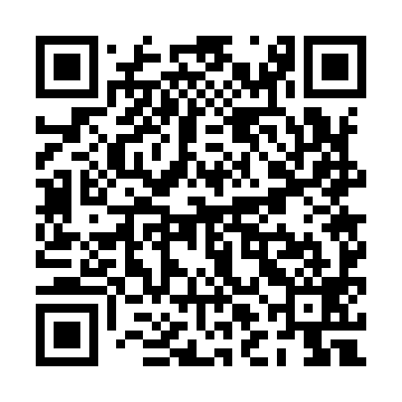 QR code for PLG999