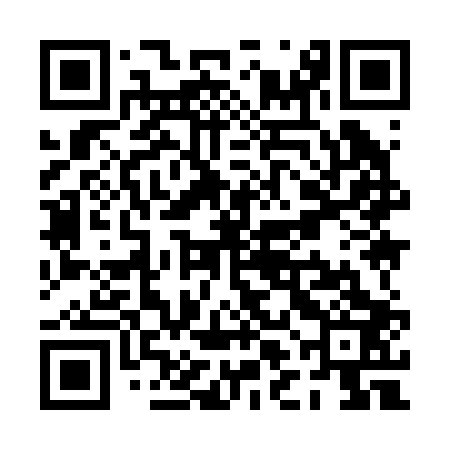 QR code for PLI203