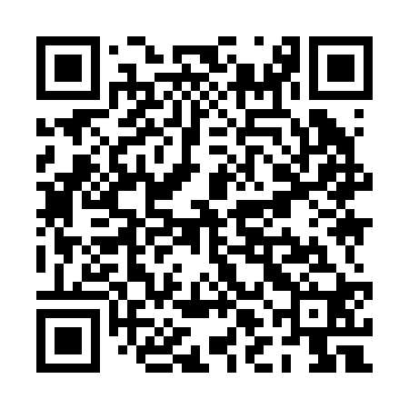 QR code for PLI220