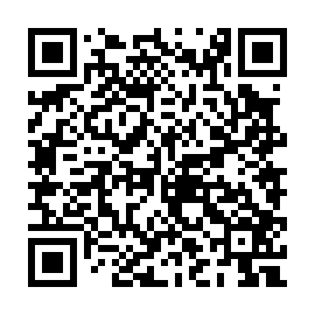 QR code for PLN006