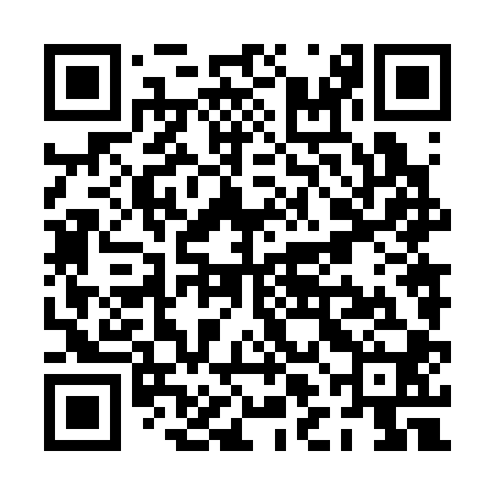 QR code for PLN300