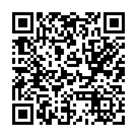 QR code for PLN333