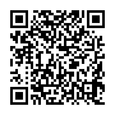 QR code for PLQ599