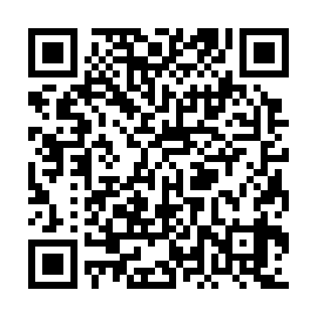 QR code for PLS339