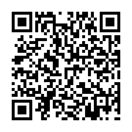 QR code for PLT370