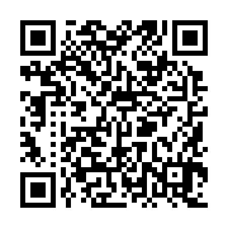 QR code for PLY384