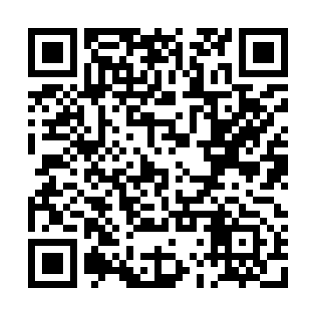 QR code for PLZ953
