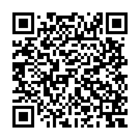 QR code for PMC541
