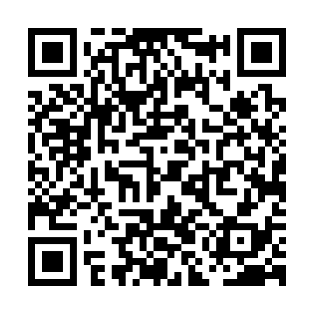 QR code for PMD338
