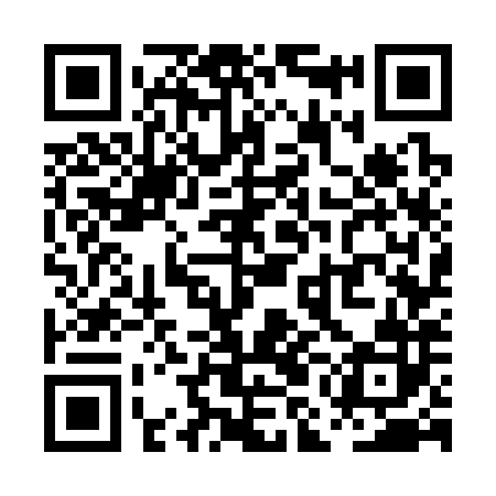 QR code for PMG382