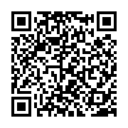 QR code for PMG538