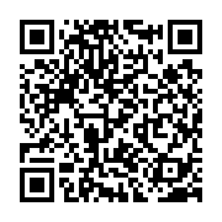 QR code for PMI739