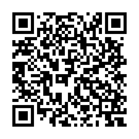 QR code for PMK541