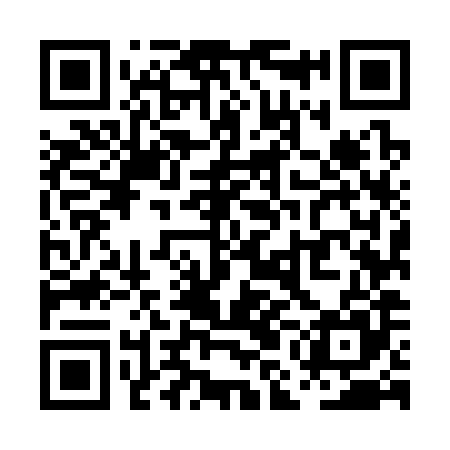 QR code for PMM385