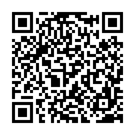 QR code for PMN296