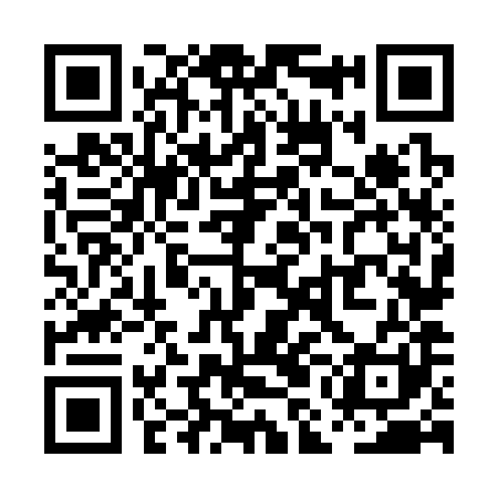 QR code for PMN381