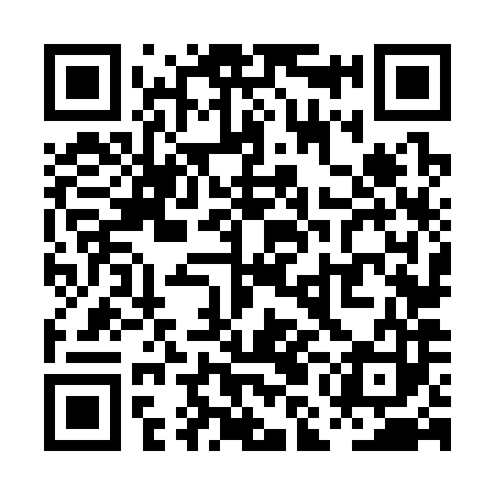 QR code for PMN383