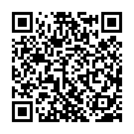 QR code for PMP438