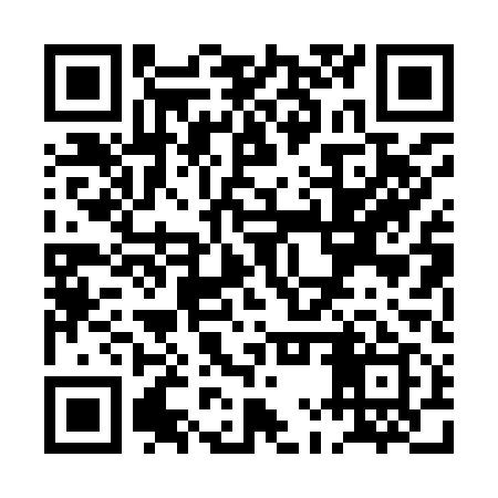 QR code for PMP919