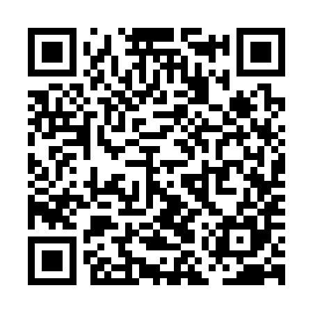 QR code for PMS385
