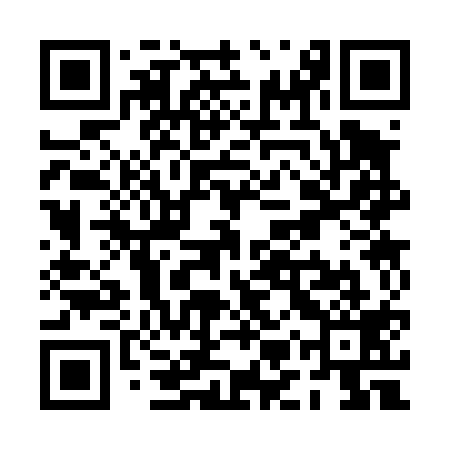 QR code for PMS419