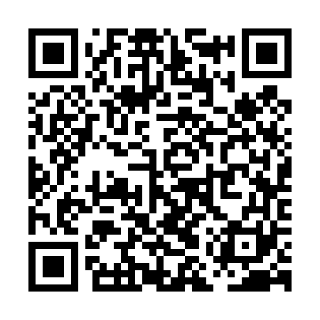 QR code for PMS461