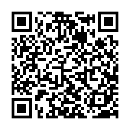 QR code for PMT381