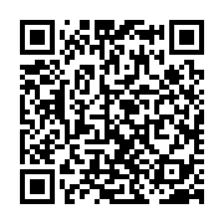QR code for PNB339