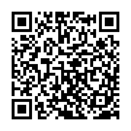 QR code for PNB341