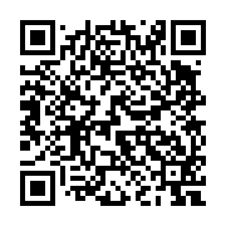 QR code for PNC493