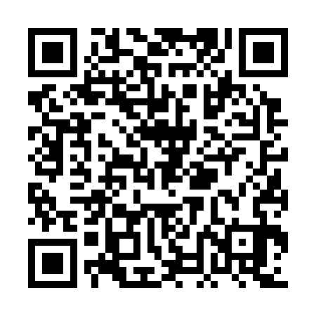 QR code for PNF333