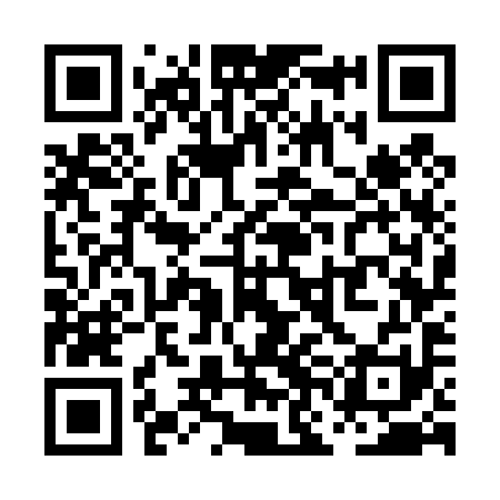 QR code for PNG491