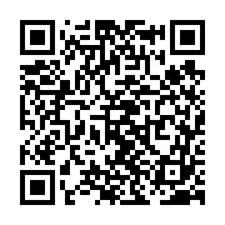 QR code for PNG663