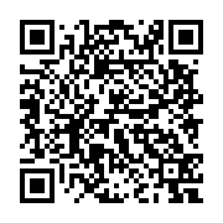 QR code for PNH533