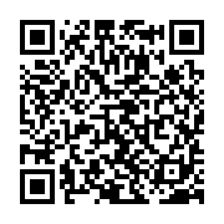 QR code for PNK391