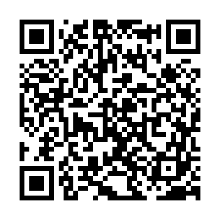 QR code for PNK863