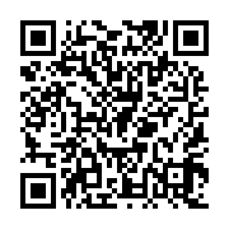 QR code for PNK919