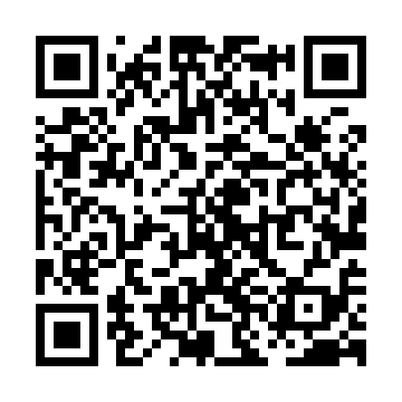 QR code for PNL919