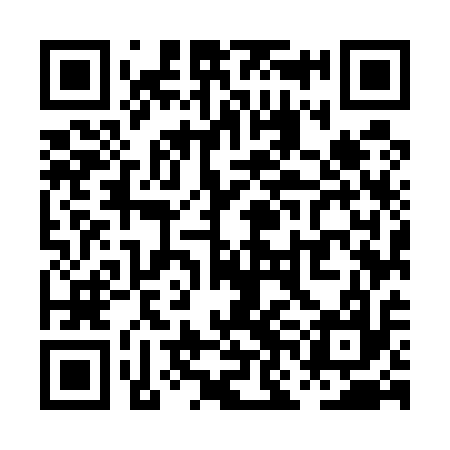 QR code for PNM517