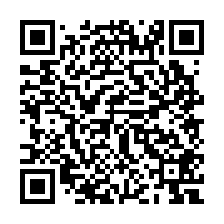 QR code for PNP308