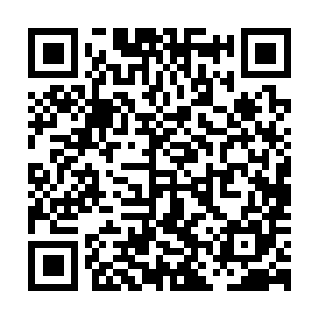 QR code for PNP385