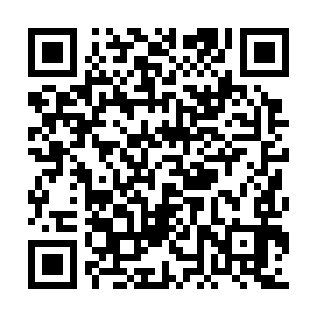 QR code for PNP393