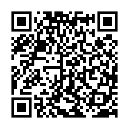 QR code for PNP559