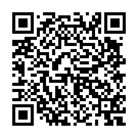 QR code for PNQ411