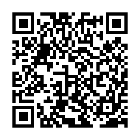 QR code for PNQ417