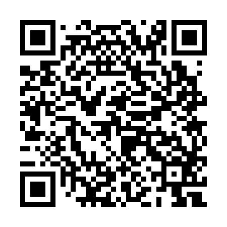 QR code for PNS386