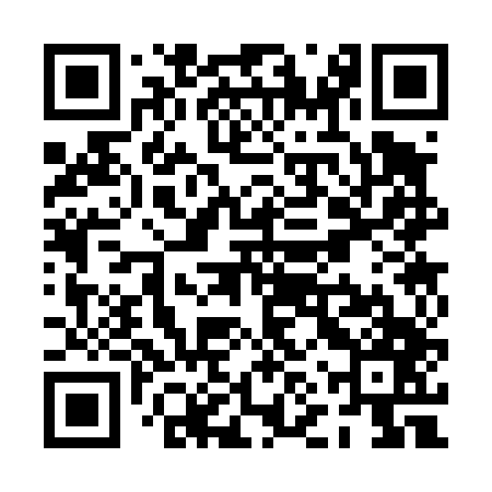 QR code for PNS447