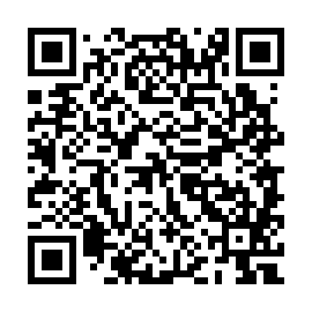 QR code for PNT385