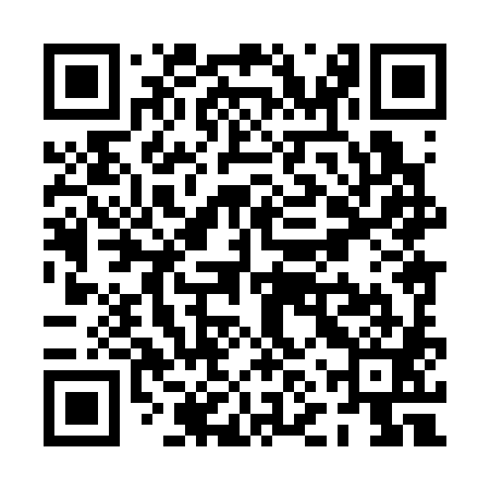 QR code for PNX381